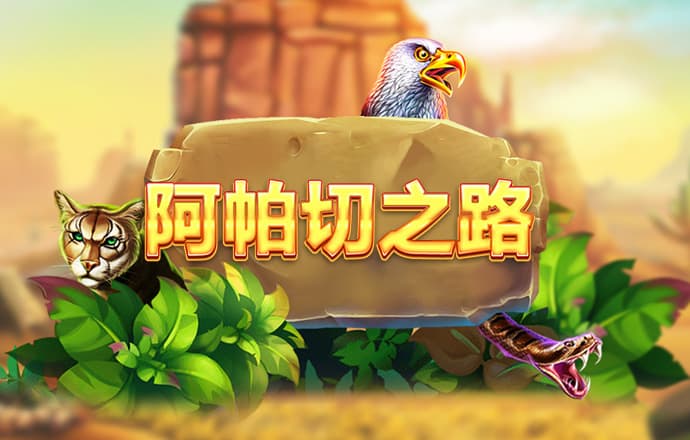 钱多多永久免费资料